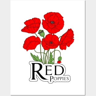 Classic red poppies Posters and Art